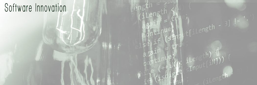 Software innovation and technology projects